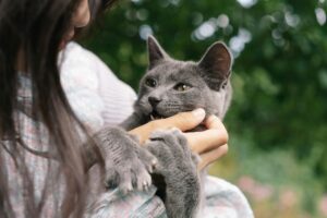 woman holding a gray cat.