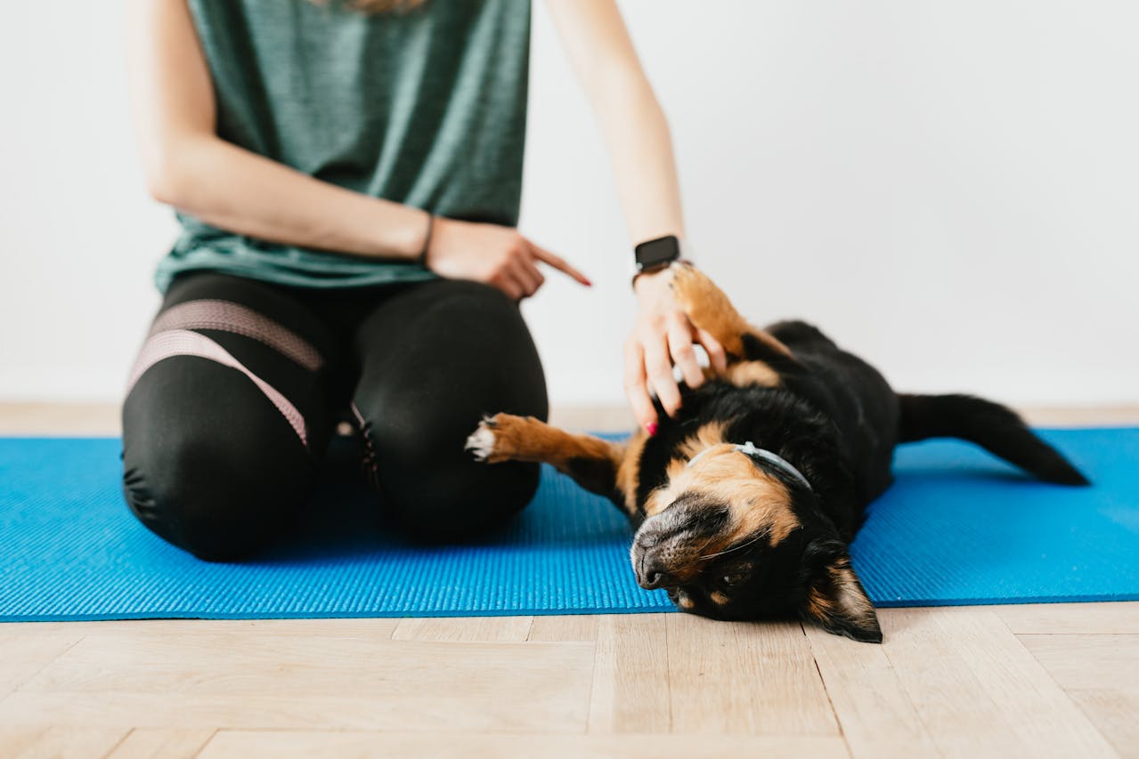 Puppy Yoga: It’s Wild & Serene — Try It at Home!