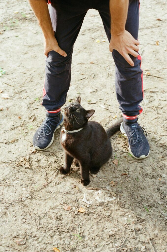 cat following owner at feet