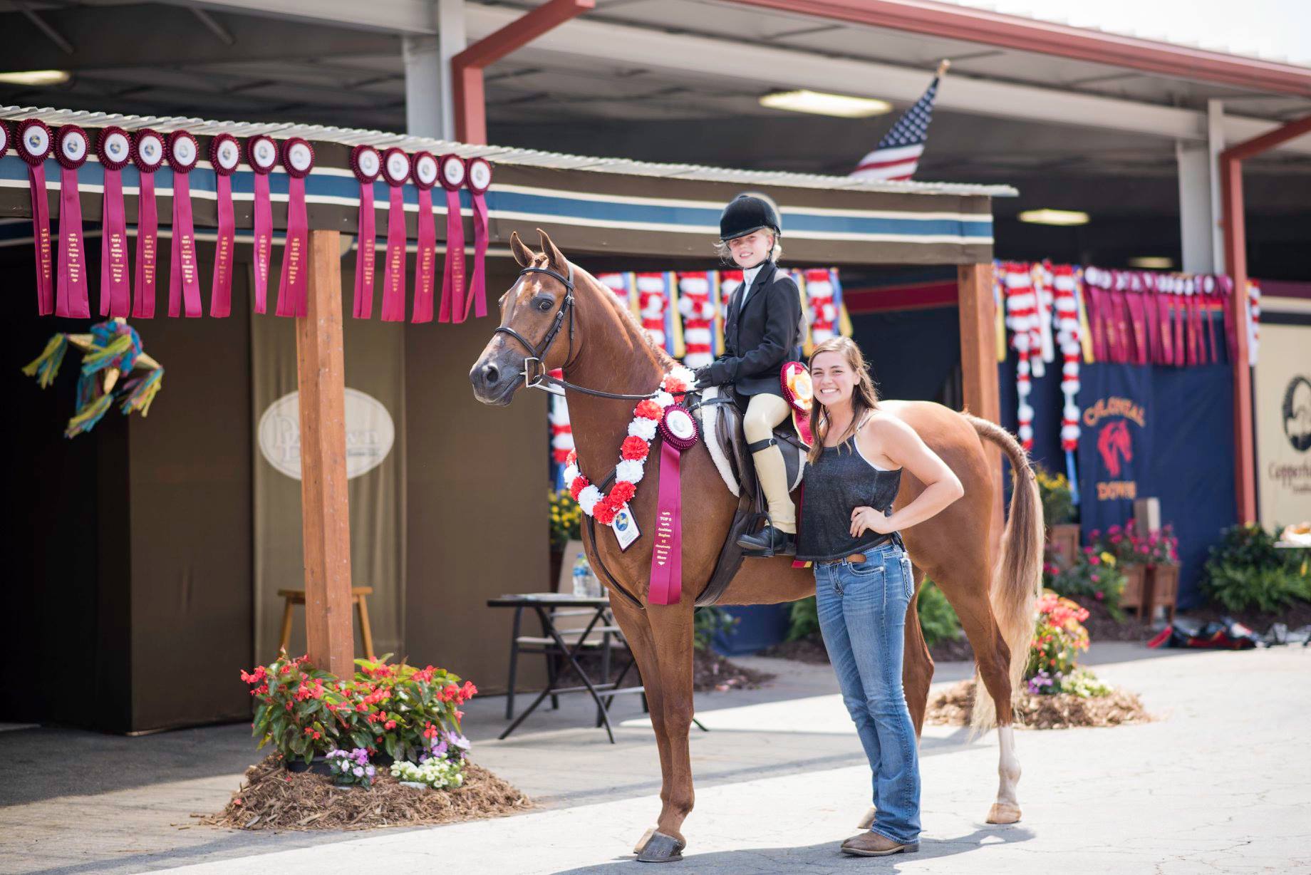 English horse riding tips for beginners