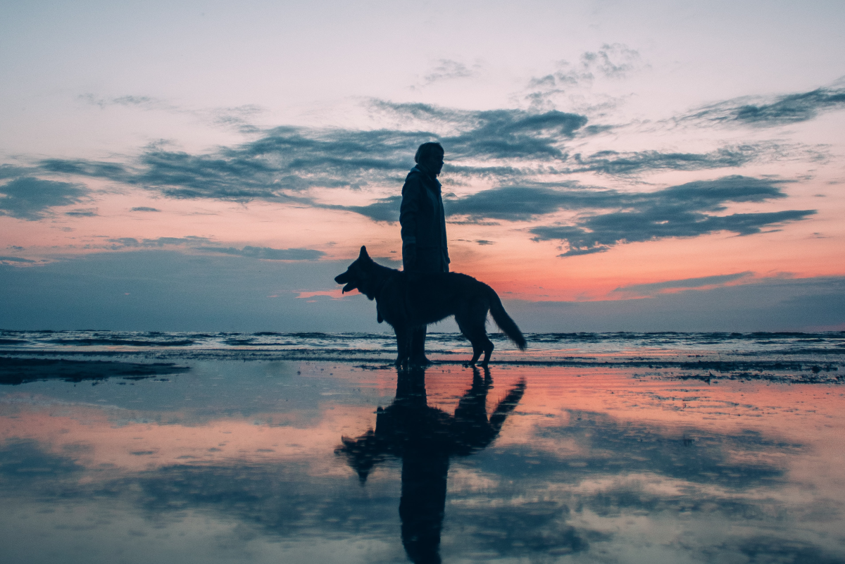150 Spiritual Dog Names: Mystical and Meaningful