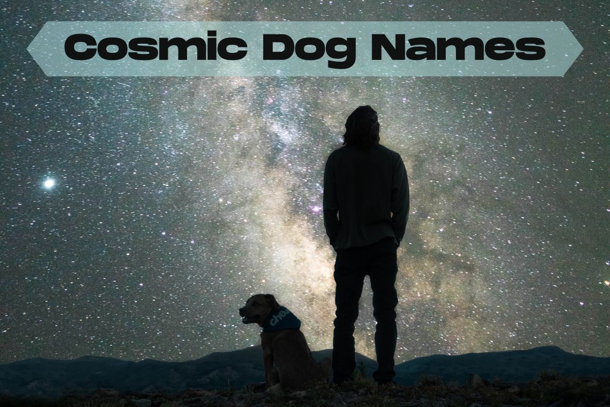 165+ Cosmic Dog Names From the Heavens, Science and Sci-Fi