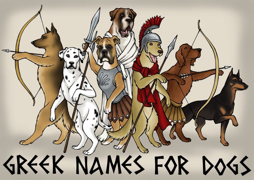 Greek Myth Dog Names for Female Dogs: Goddess & Heroine Names (With Meanings)